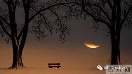 「云检文学」我的退休生活