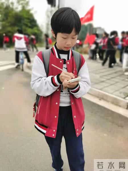 春天的课堂,赏春. 品春. 惜春 ——走进“春天的课堂”