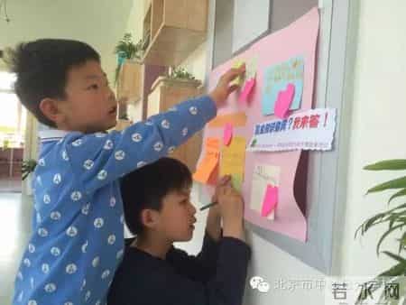 小苗与大树的对话教案,大树与小苗的对话