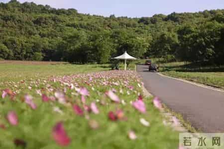 江北地图 - 最全春游打卡地，速度收藏起来！