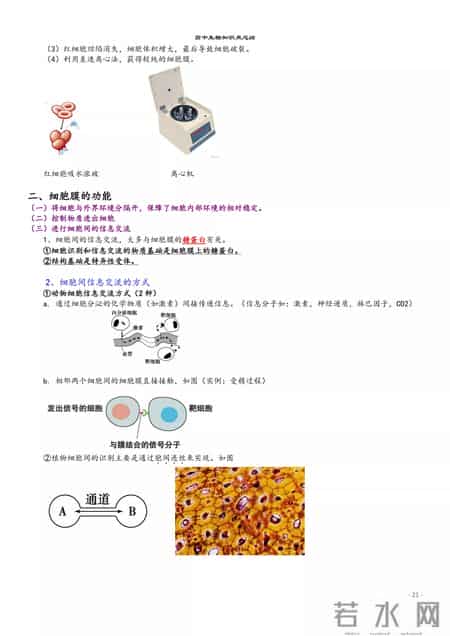 高中生物教学总结