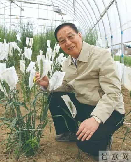 关于科学家的小故事