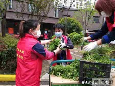 嫦娥工程师、社区书记、援鄂医生......这些巾帼英雄荣获三八红旗手标兵