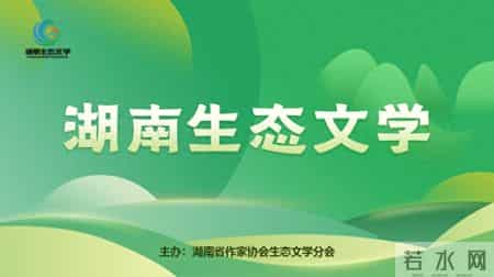 观察蚂蚁的作文300字,观察蚂蚁作文300字三年级上册