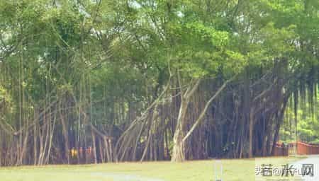 学会放弃的名言,【经典名言荟萃】406 学会适时放弃，才能彻悟人生