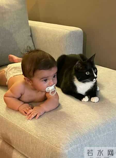 圣诞故事,寒冷的冬天，还好有这一波跟圣诞有关的治愈小故事