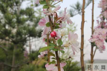 藤野先生读后感,藤野先生读后感300字