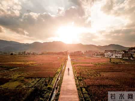 大学生了没 文章