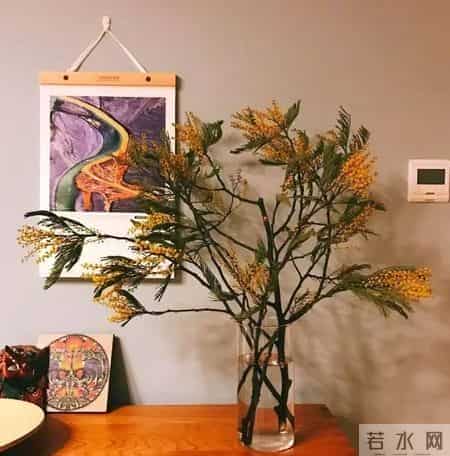 20种花材的插花方法，不会插花看这里