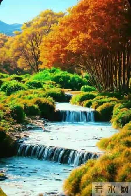 有一种爱叫做放手作文