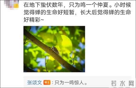 在心里点灯的人,张颂文一条评论回复，冲上热搜！“我一辈子学不来的情商……”