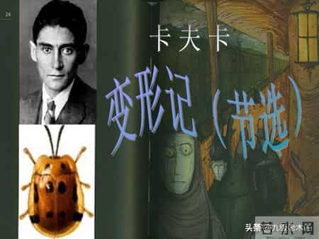 写作手法,写作手法有哪些种类