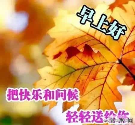 早晨问候朋友的暖心祝福语短信，最美的早安祝福图片