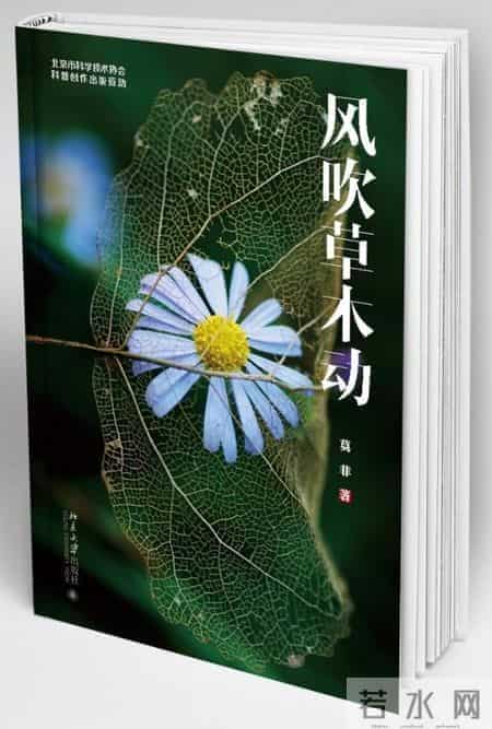 备受关注的获奖图书，这些书不看就是遗憾