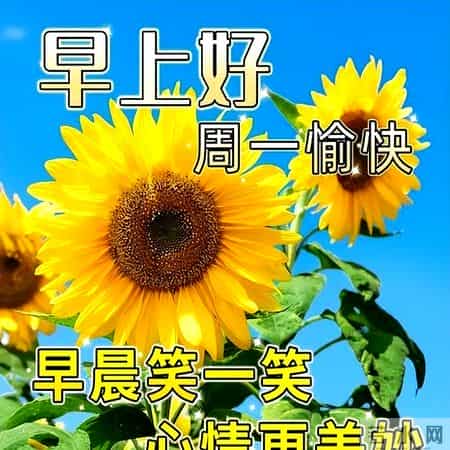 工作顺利的祝福语,今日清晨祝福早上好语句，优美祝福语吉祥话，愿你精神棒棒