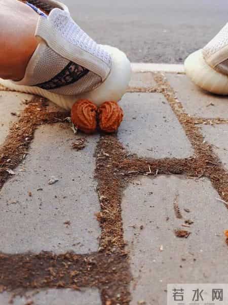 妈妈我想对你说500