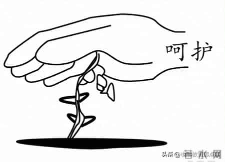 七年级上册语文期中考试卷,七年级上册语文期中考试卷及答案人教版