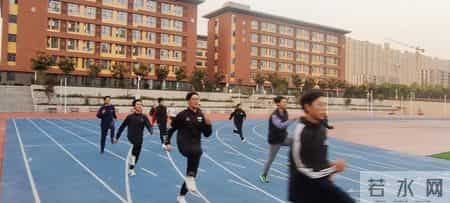 文学社活动计划