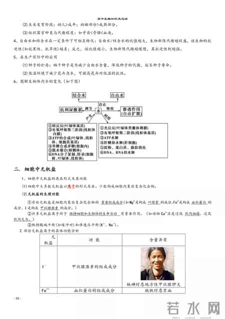 高中生物教学总结