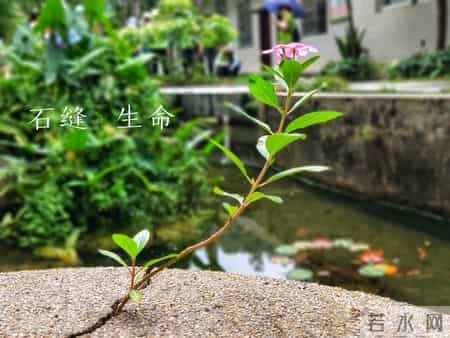 我眼中的自己,张晓磊情感爆款文章-镜中影，心中我：最难看清的自己