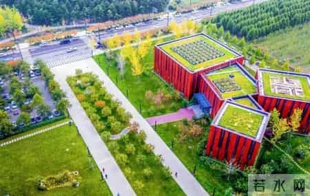 变形记600字,变形记600字可抄免费