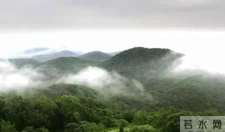 江北地图 - 最全春游打卡地，速度收藏起来！