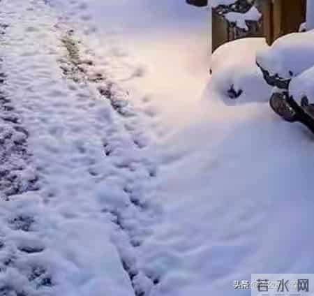 鲁迅先生笔下的“雪”