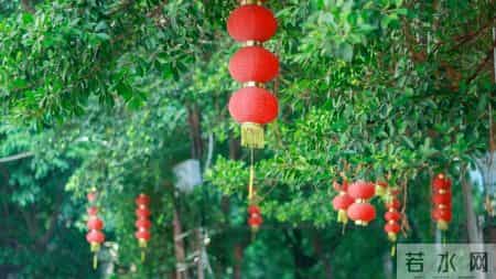 关于春节的短诗歌,春节的诗歌简短