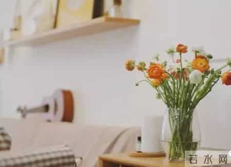 20种花材的插花方法，不会插花看这里