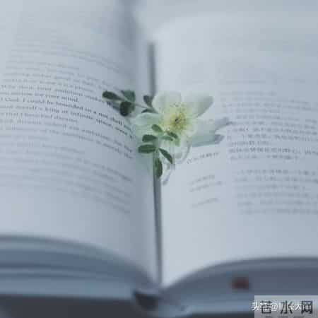 读书的好处英语作文