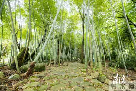 广东最好的3a学校