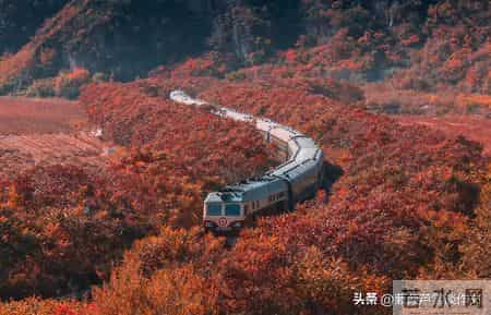 变形记,如何写出故事感——阿宝老师的“作文经”(二二七)