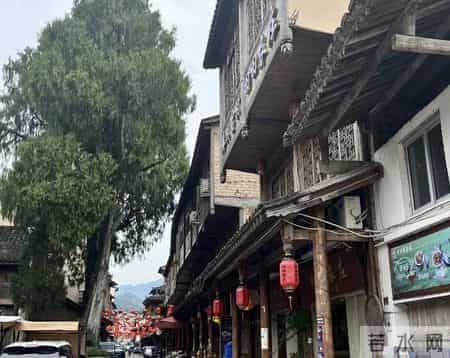 我的“三书”生活：读书、写书与讲书