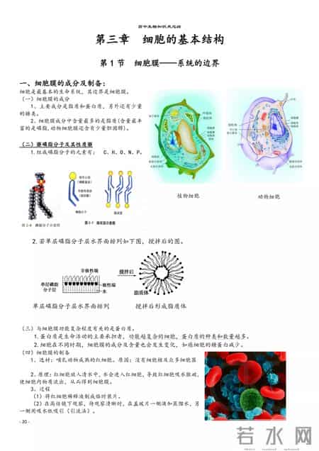 高中生物教学总结