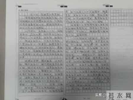 那一刻我的世界春暖花开作文600字