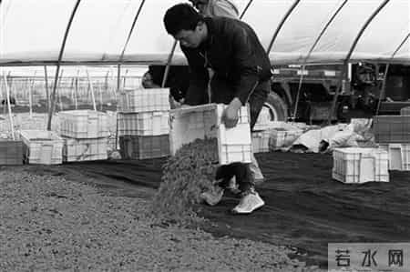 环保时装秀解说词,环保时装秀解说词大全