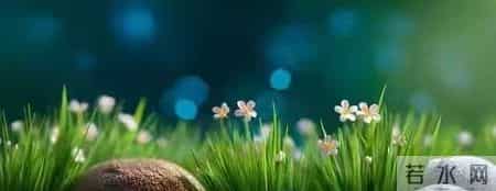 非常女生,非常女生杨红樱电子书