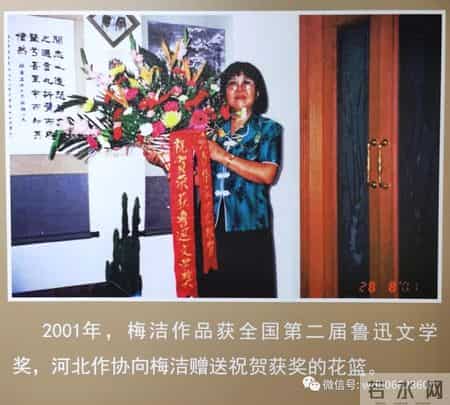 楼兰的忧郁读后感,乡情悠悠寄芳华