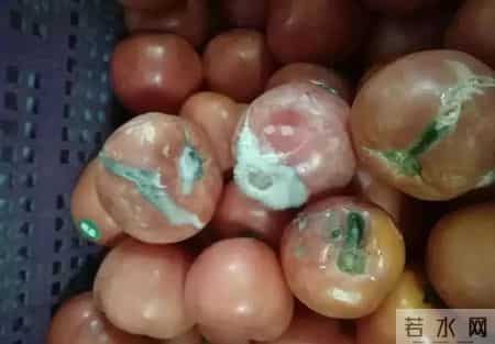 食品安全英语作文