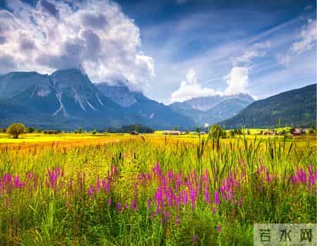 三八节活动方案