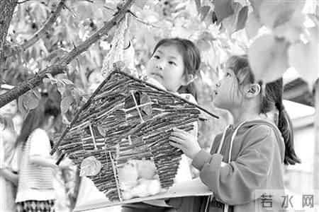 保护环境从我做起,保护环境 从我做起