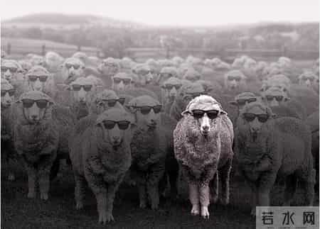 FABRICSCHINA携手国际羊毛局打造美丽诺羊毛创新产品