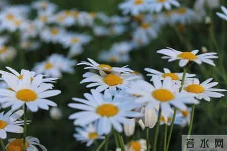深刻明理的人生感悟，精辟有深意，句句走心
