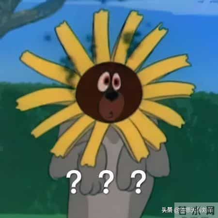 还不快收藏!一篇文章读懂四六级和雅思的区别