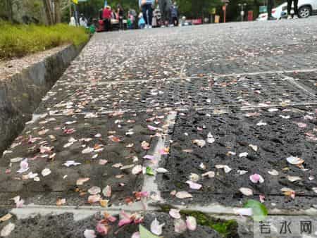 雨后故事,雨后的故事