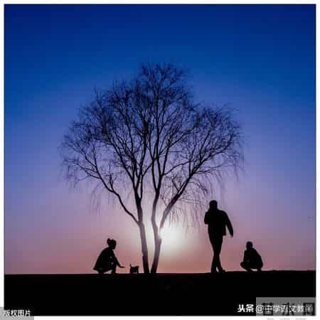 丑小鸭主要内容