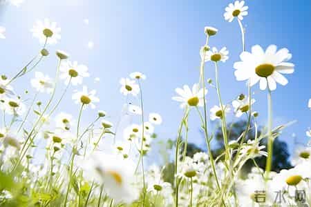 这天我回家晚了作文,【七年级作文：热爱生活，热爱写作】张诗杭《懂》（47）