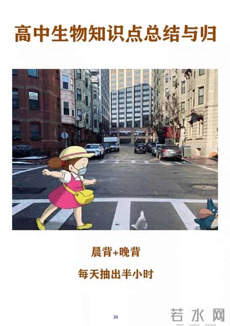 高中生物教学总结