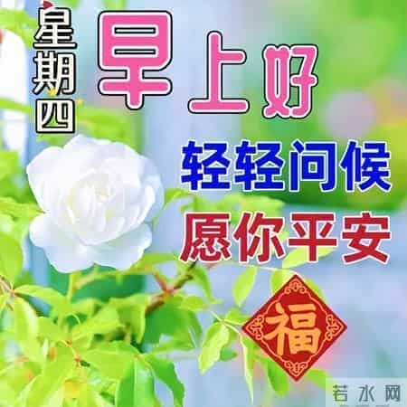 最新早上好祝福每天一句，早安暖心牵挂的句子，吉祥如意伴你左右