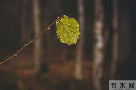 反思自己,反思自己的文案